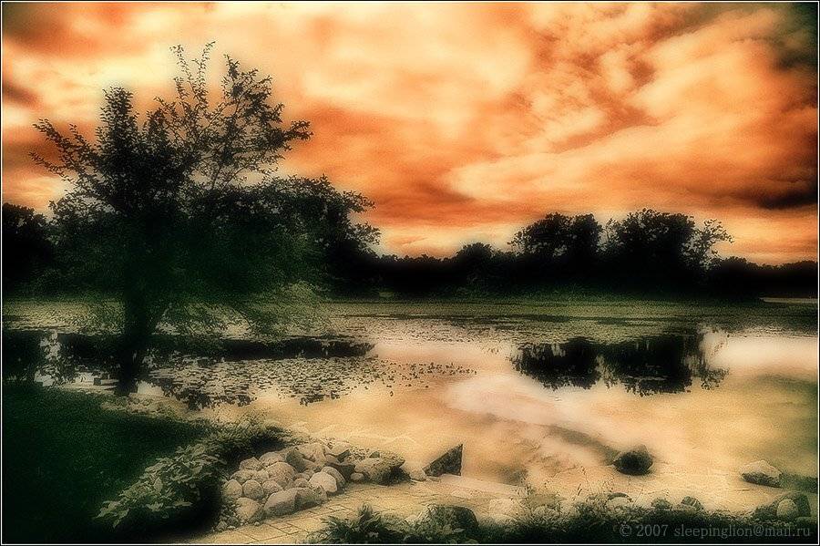 Hot sky. Автор: Pilgrim пейзаж, пленка, 35 мм, pilgrim, Pilgrim