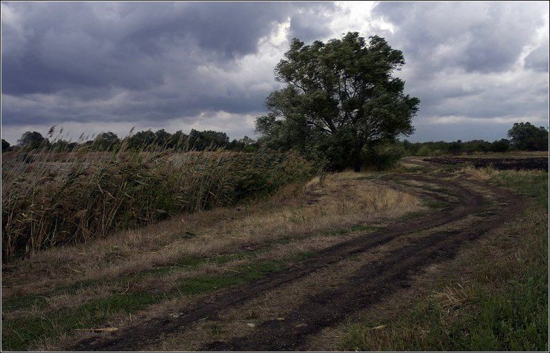 Кажется дождь собирается...photo preview