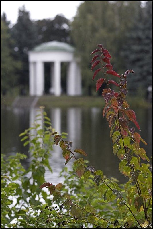 осень Крестовский островphoto preview