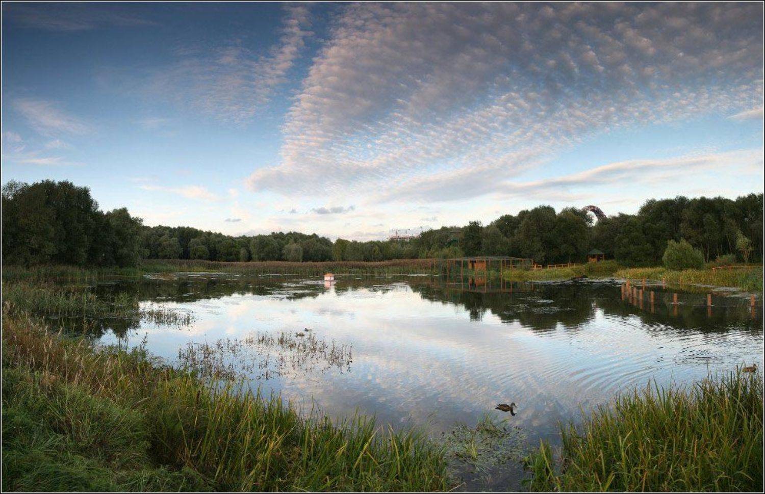 москва, вечер, серебряный бор, Алексей Самарин