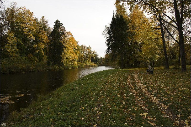 павловск, осень photo preview