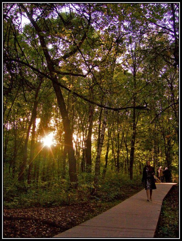 осень, воробьёвы горы, девушка, солнце, дорожка Осенняя фото превью