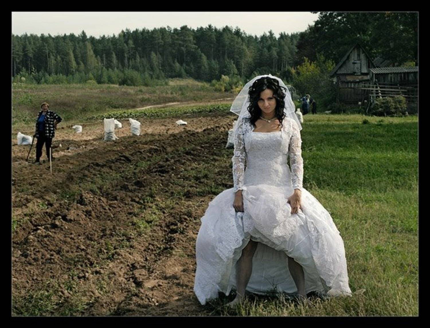 по осени считают. Автор: Nadia Romanova wedding, Nadia Romanova