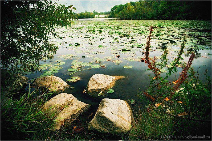 пейзаж, пленка, 35 мм, pilgrim, Pilgrim