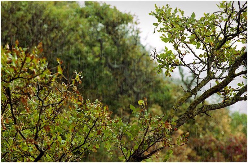 осень, утриш, чёрное, море, дождь, конец, сентября es Regnetphoto preview