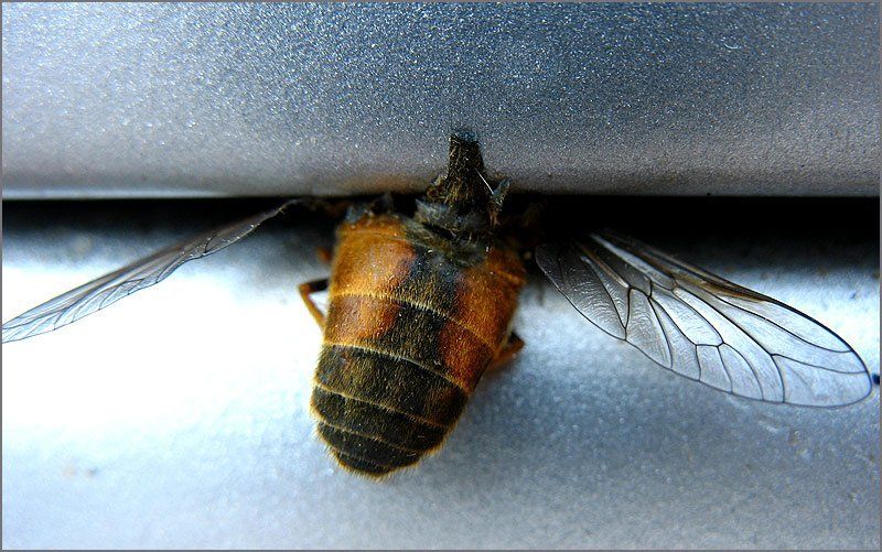 точно в Щельphoto preview