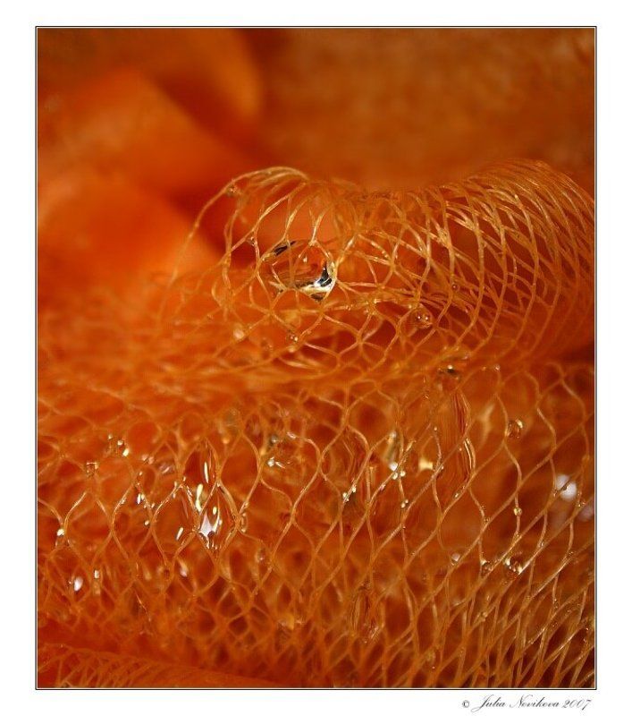 принцесса, рыжая, капелька Princess.photo preview