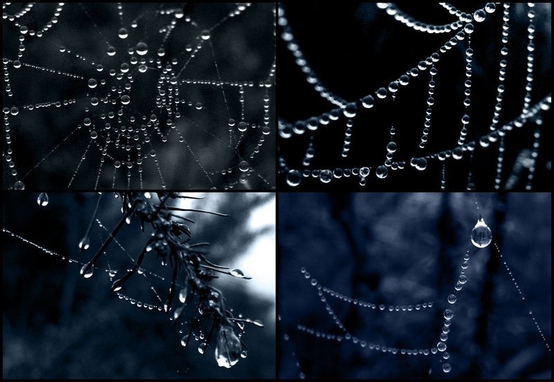 бусинки фото превью