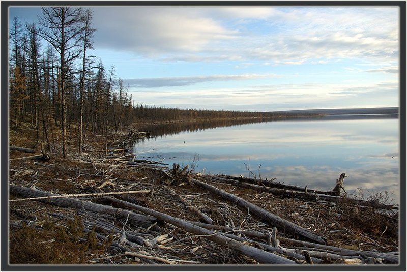 тайга,озеро,осень,якутия Последние дни осениphoto preview