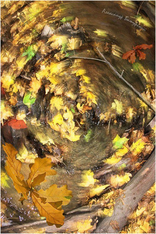 Осенний круговоротphoto preview