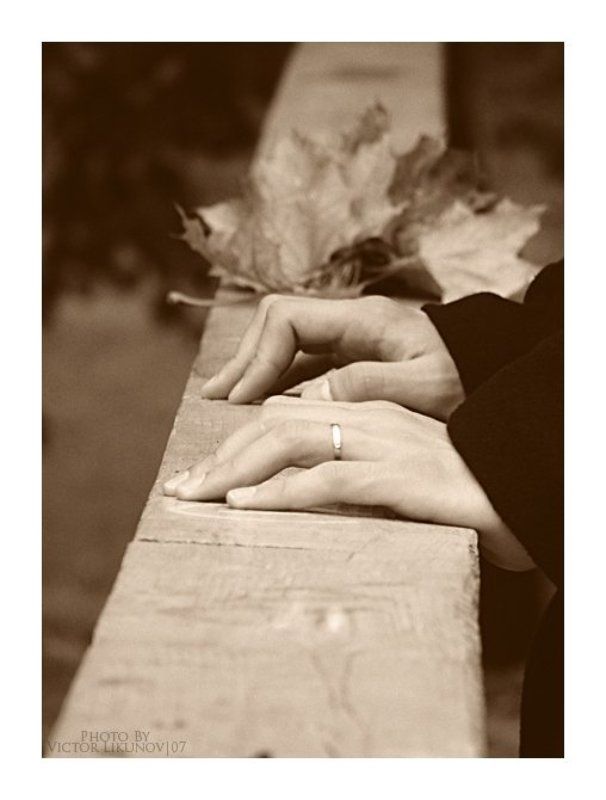 осень, жанр, руки, arhy Too late....photo preview