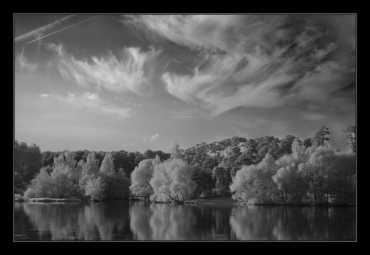 ик, infrared, осень, Капустин Николай