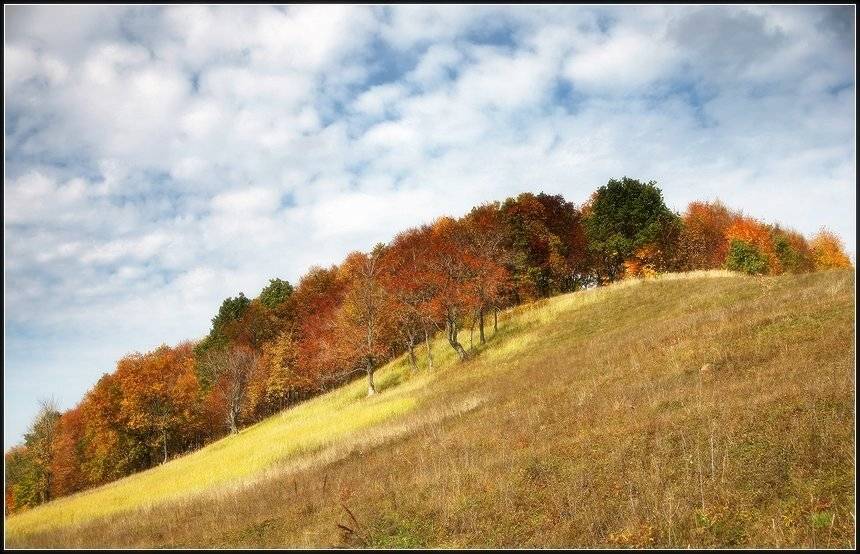 осень, лес, краски, листва, небо, облака, Григорий Иващенко