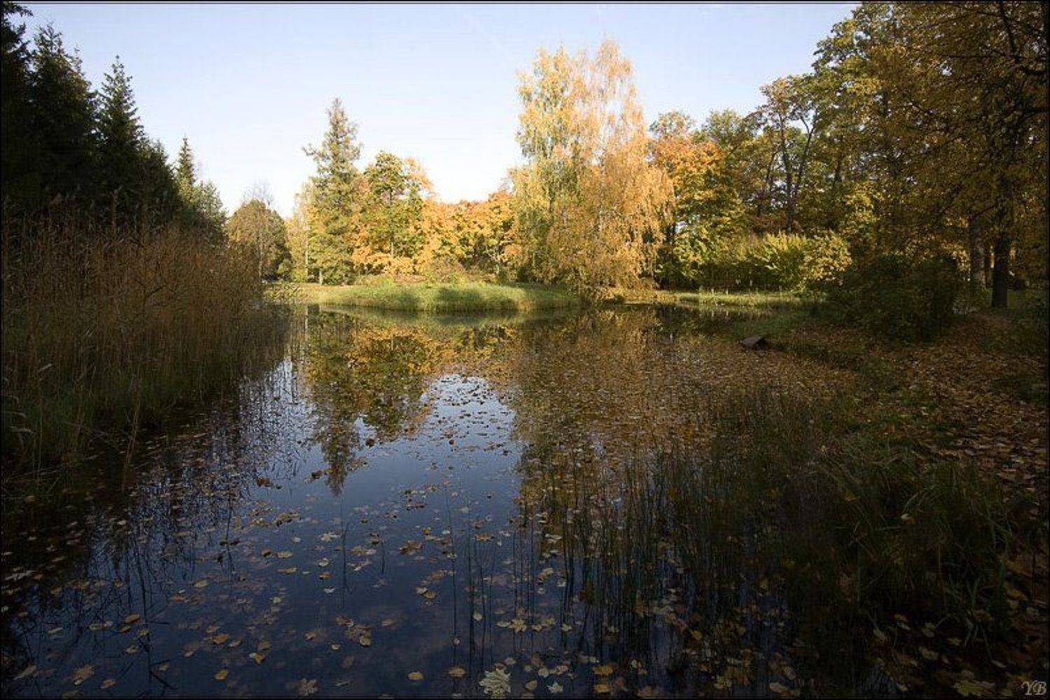 тихая заводь. Автор: Братаев Юра пушкин, Братаев Юра