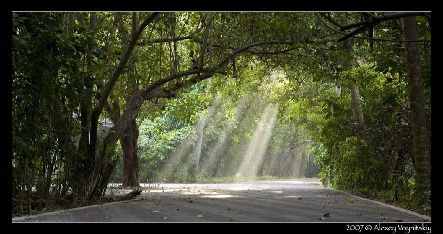 Мальдивский рассвет. Автор: Алексей Войницкий мальдивские острова мальдивы san island рассвет, Алексей Войницкий