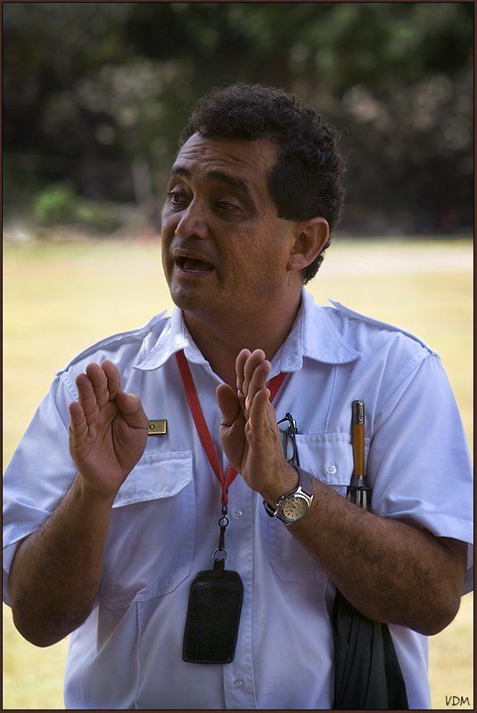 эрнесто ...Вот такие, но по пять...photo preview