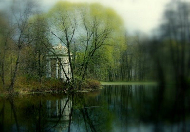 быково. беседка. пруд. дождь. ...сквозь дождь...photo preview