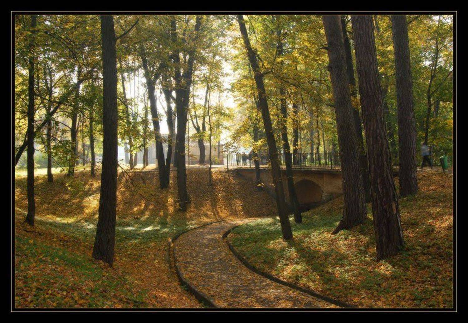 усадьба, архангельское, утро , солнце, памятник, архитектуры, Александр Бельтюков