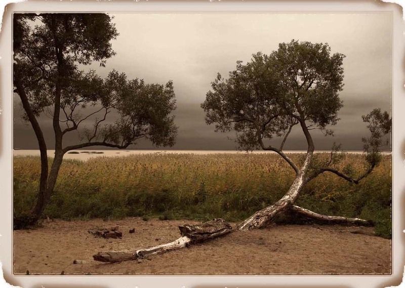 петергоф, парк александрия Жажда жизниphoto preview