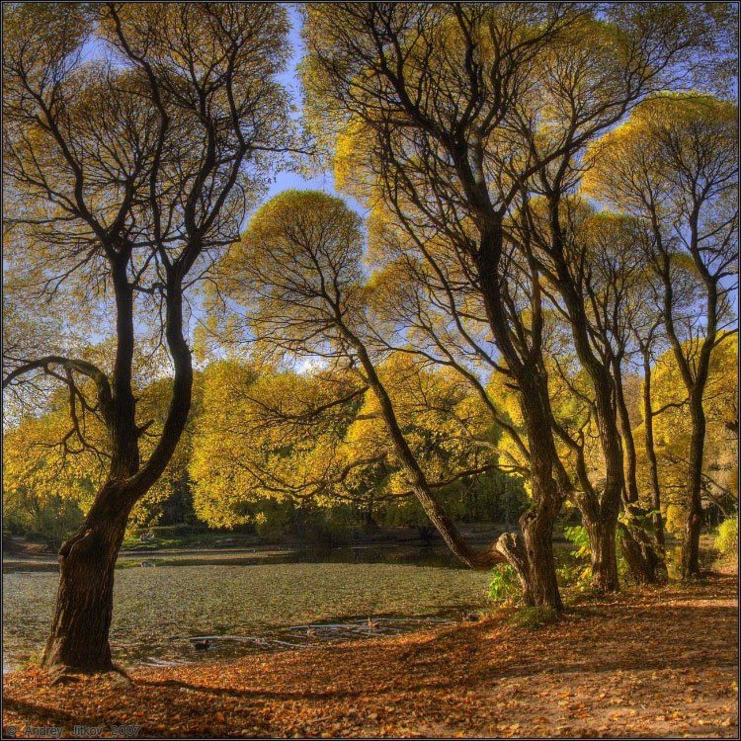 осень, октябрь, пейзаж, Андрей Житков