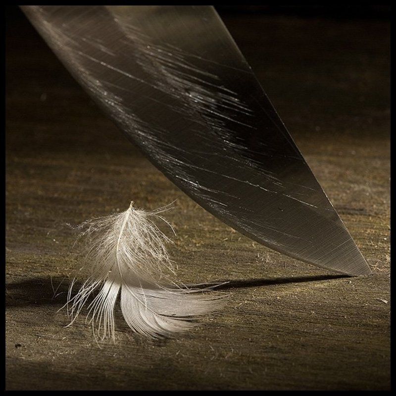 Обреченностьphoto preview