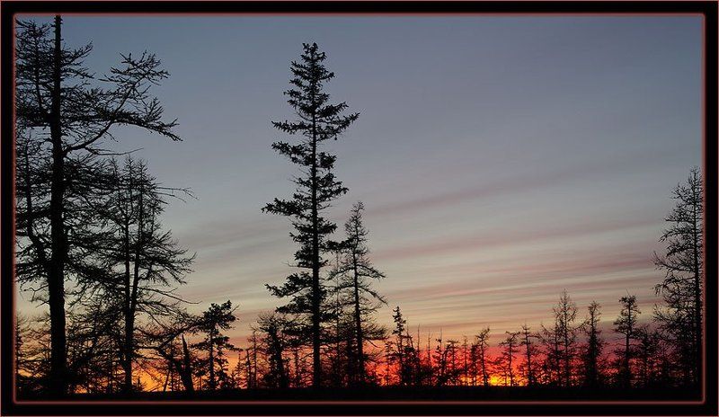 тайга,закат Догорающий закатphoto preview
