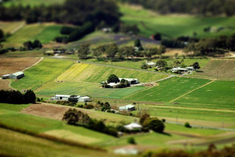 австралия Моя маленькая Австралияphoto preview