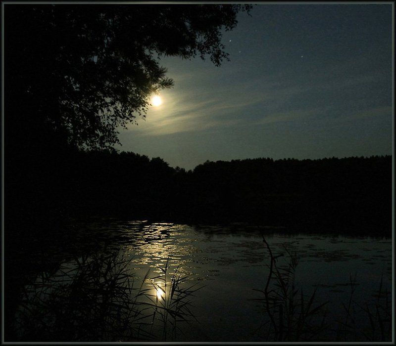 ночь Летняя ночьphoto preview