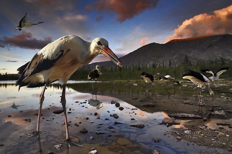 Фантазия на тему \