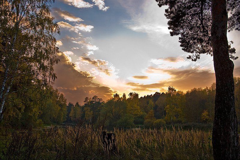 лес осень закат про закат в подмосковье...photo preview