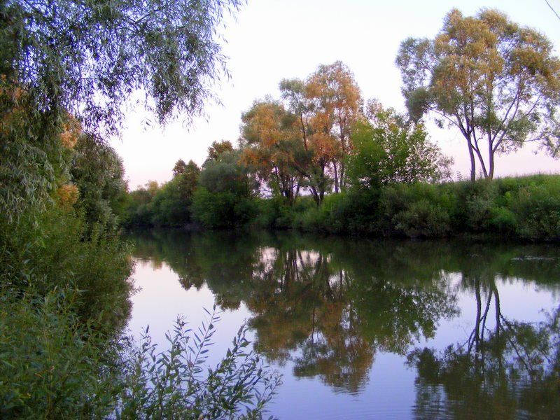 река сургут photo preview