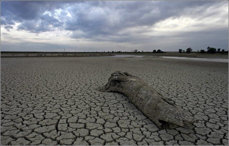 река, псекупс, засуха, дождь В ожидании дождяphoto preview