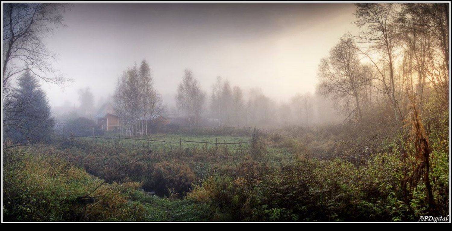 утро туман восход, A_Pol