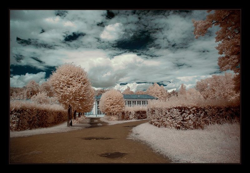 ик, infrared, инфракрасное, кусково Кусково. ИК. Аллеи IIphoto preview