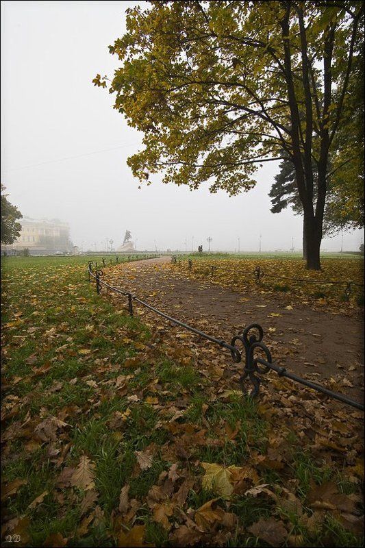 петербург, осень, медный всадник, в городе осеньphoto preview