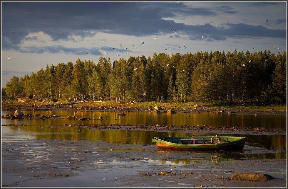 Отлив на Белом... Автор: Марина Кочетова , Марина Кочетова