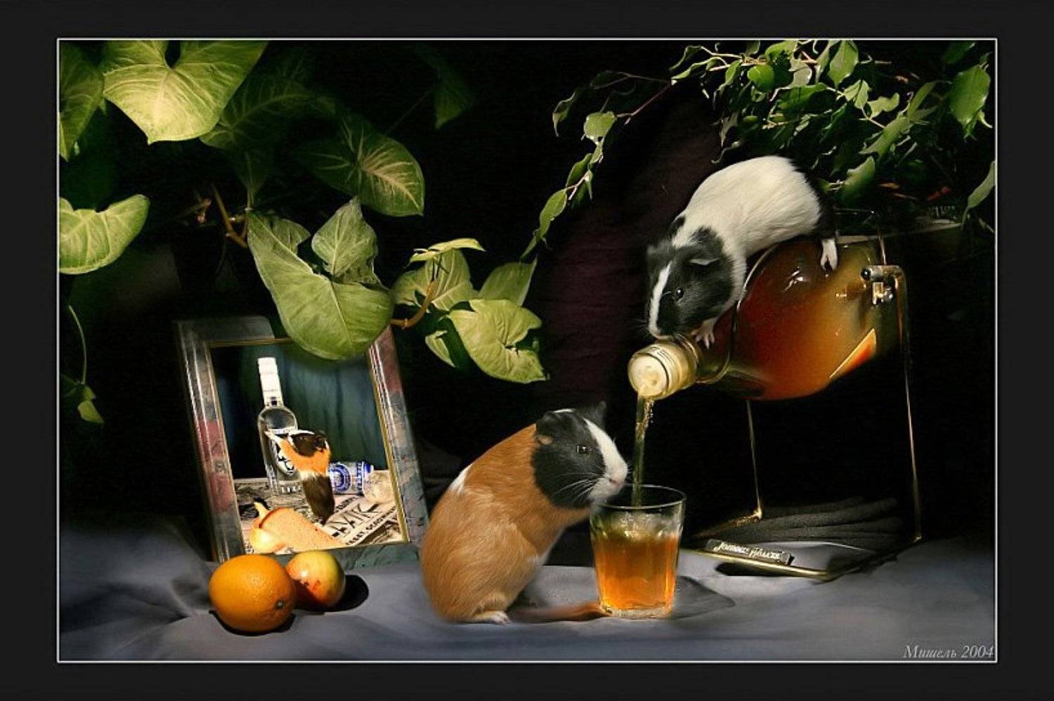 Свинская история. Автор: Михаил Курцев , Михаил Курцев