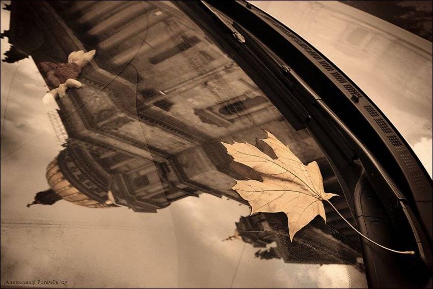 питер,осень, Александр Рогачёв