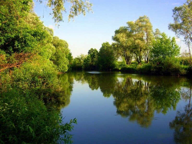 река сургут photo preview