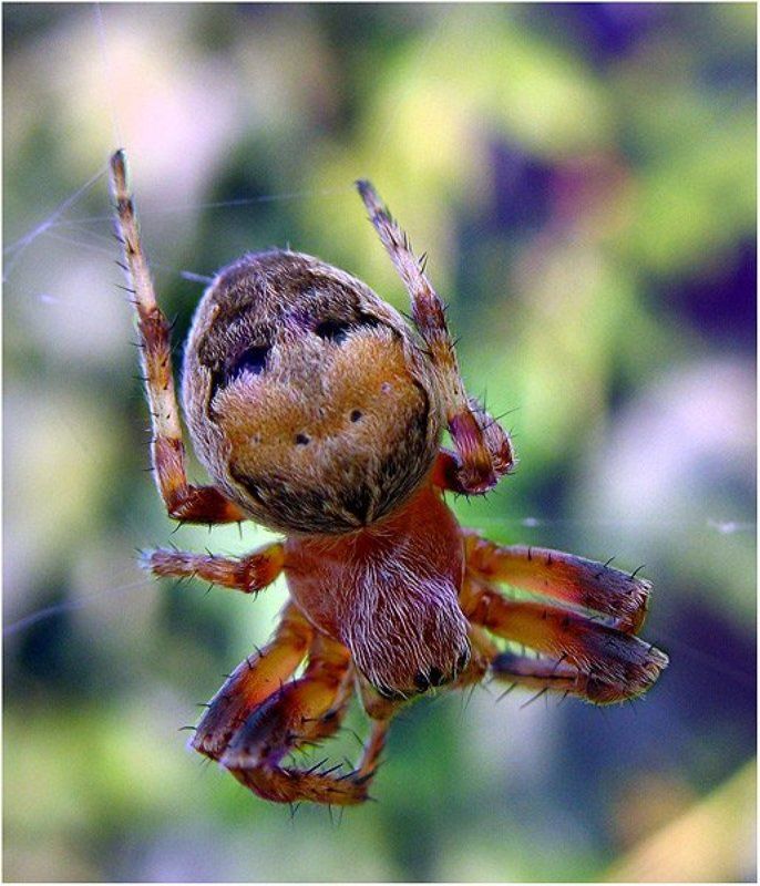 летят йоги поджав ноги!photo preview