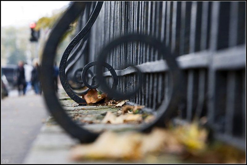 петербург, осень photo preview