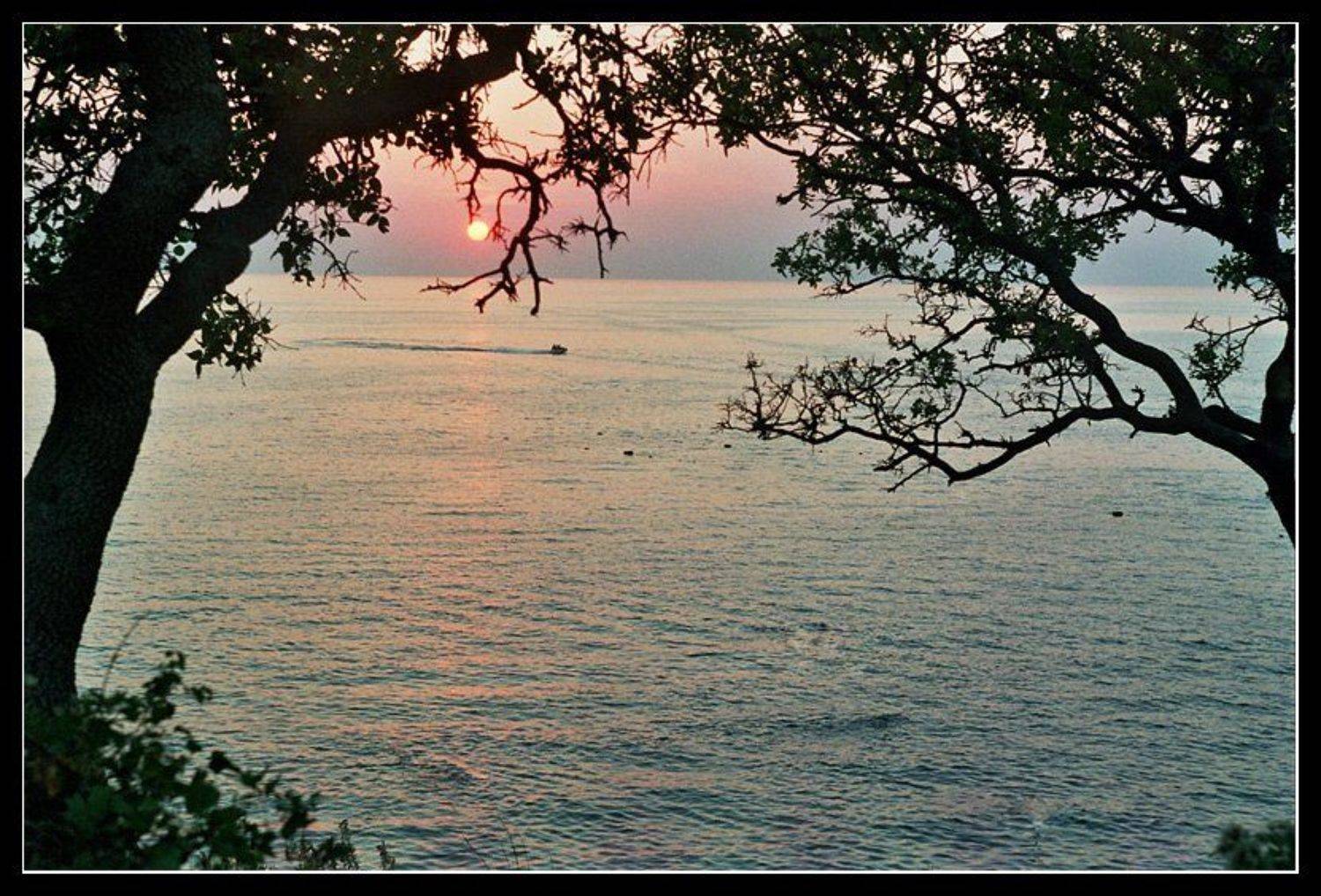 , Лунный Ежик