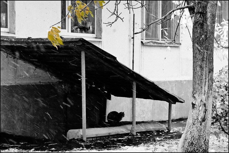 Предзимнееphoto preview