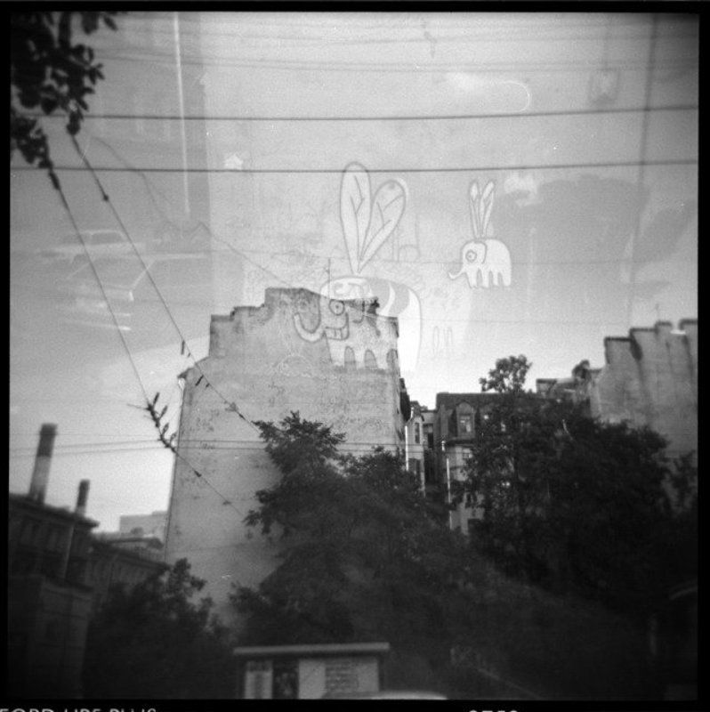 holga холга перелётные слоны ?  о с е н н е е е . . .photo preview