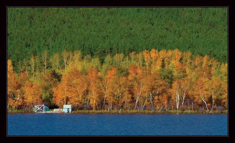 осень, деревья, вода, листья, забайкалье Firewallphoto preview