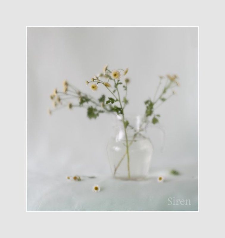 В светлых тонах фото превью