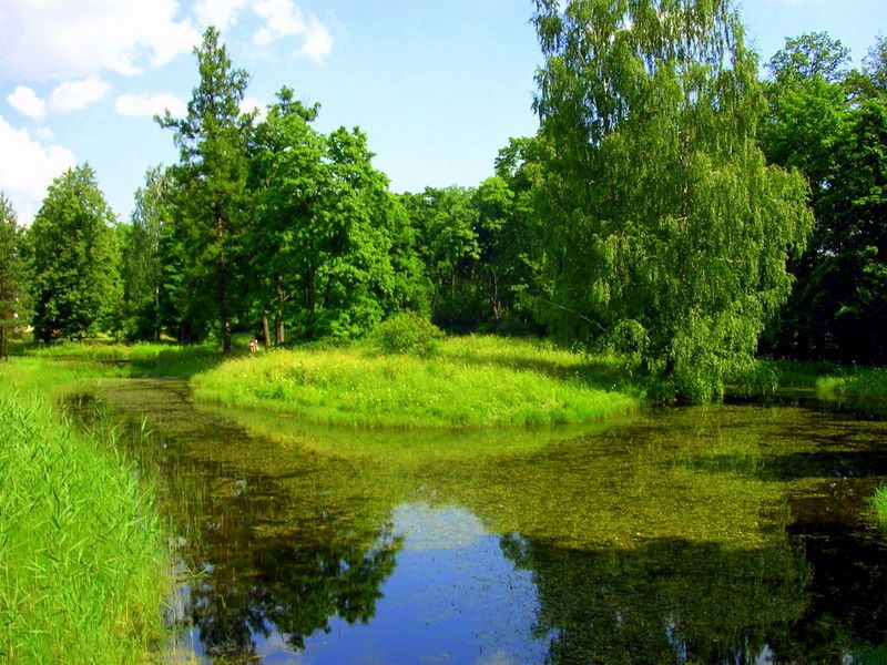 пушкино озеро тишиныphoto preview