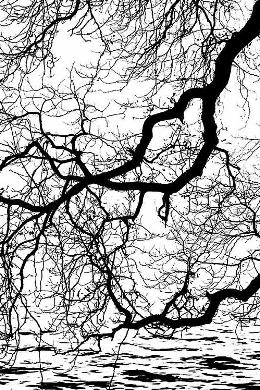 графическаяphoto preview