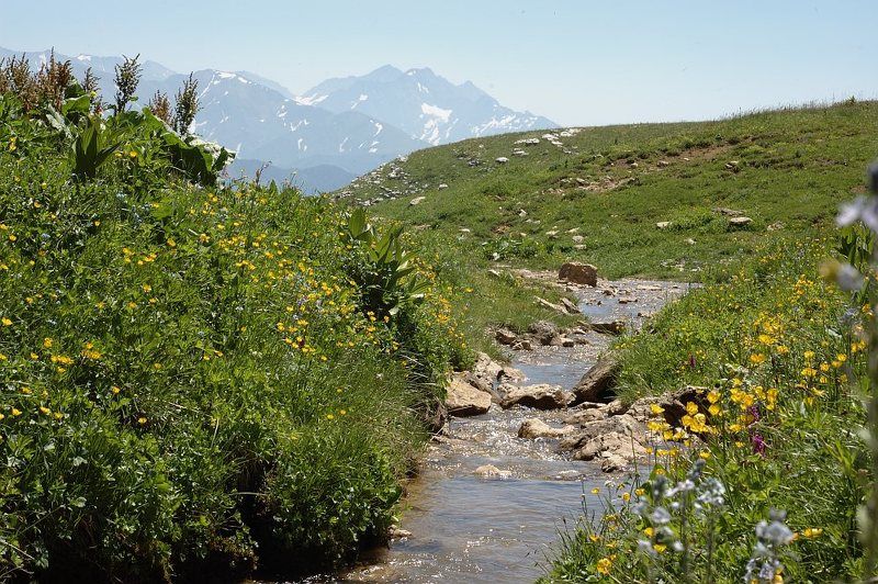 пейзаж, горы, адыгея, субальпика, ручеёк, гкх Инструкторская щельphoto preview