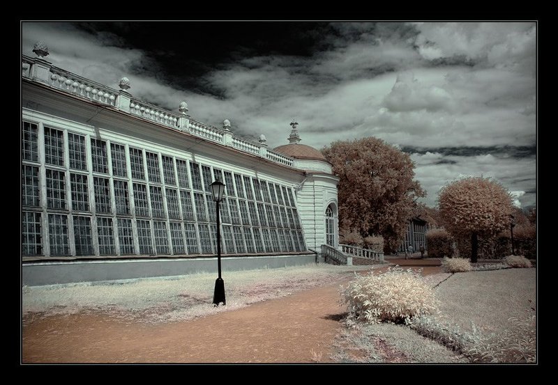 ик, infra red, инфракрасная съемка, кусково Кусково. ИК. Каменная оранжереяphoto preview